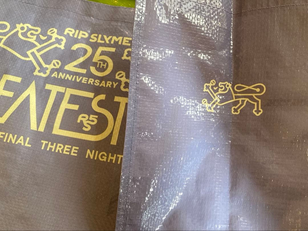 RIP SLYME GREATEST LIVE 入場者特典 メダル バッグ
