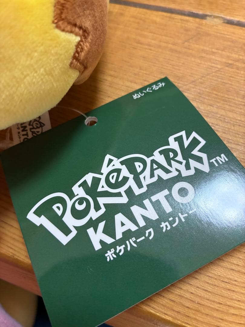 ポケパーク KANTO 限定 イーブイ ピカチュウ ぬいぐるみ