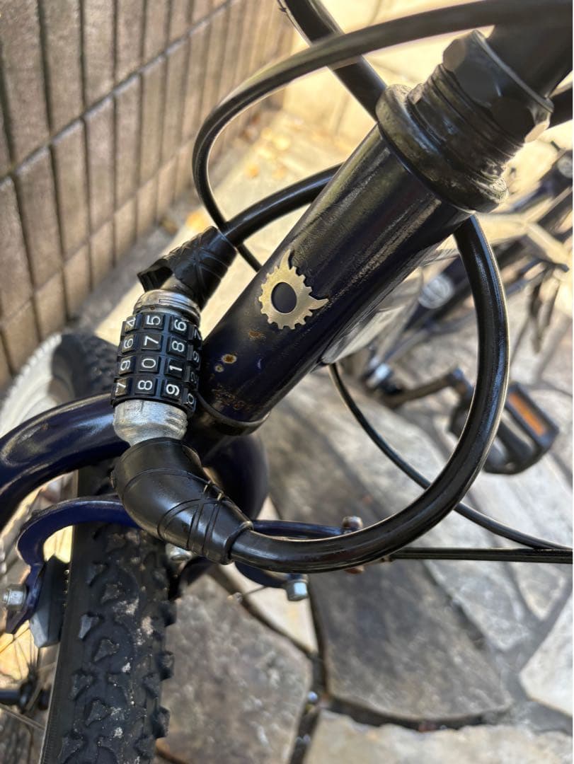 22インチ　自転車　子供　COGHORN miami