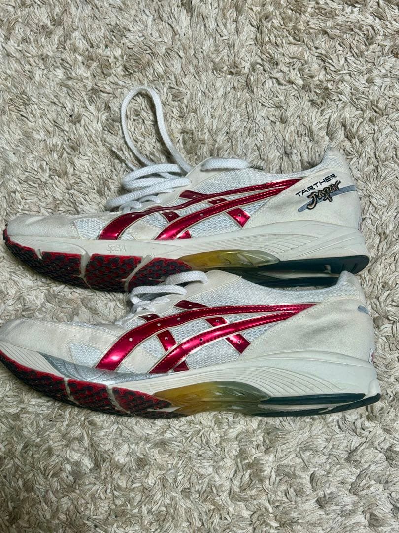 ASICS ターサージャパン　28cm