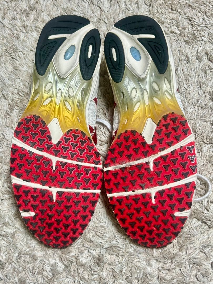 ASICS ターサージャパン　28cm