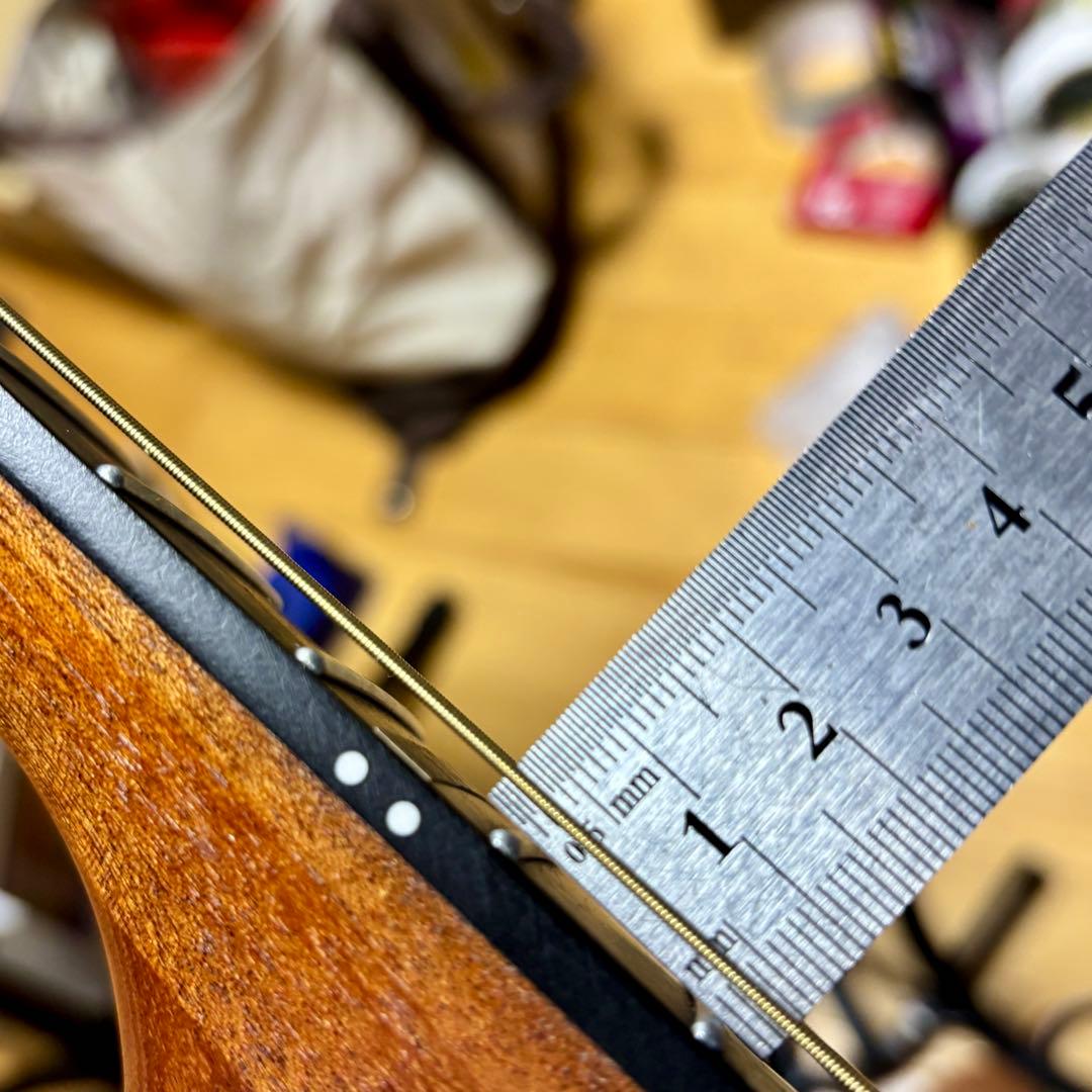 【美品】James トランスギターJ-100A MHT ギグケース付属