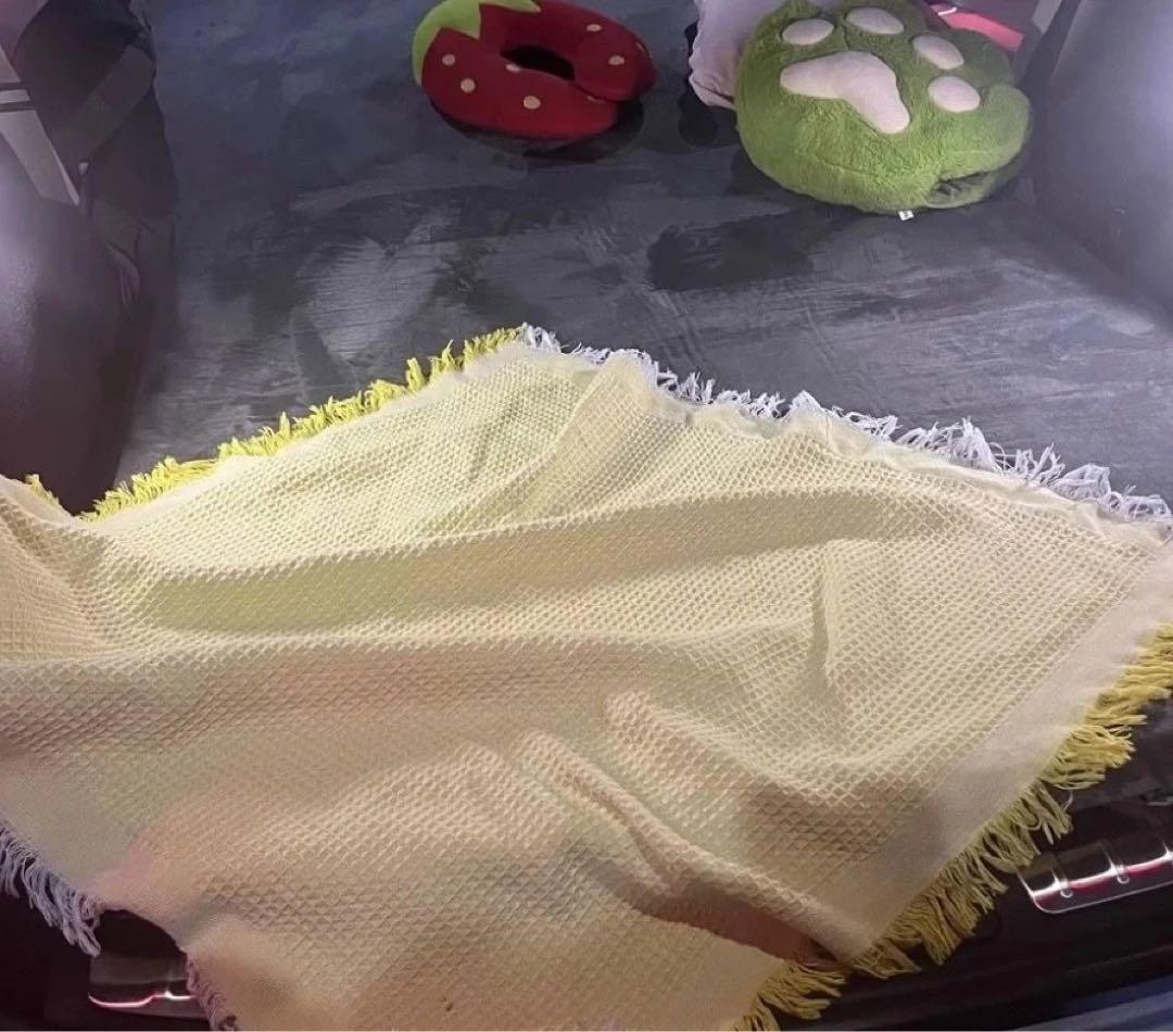 特別注文品 テスラModel Y専用 車中泊マットレス
