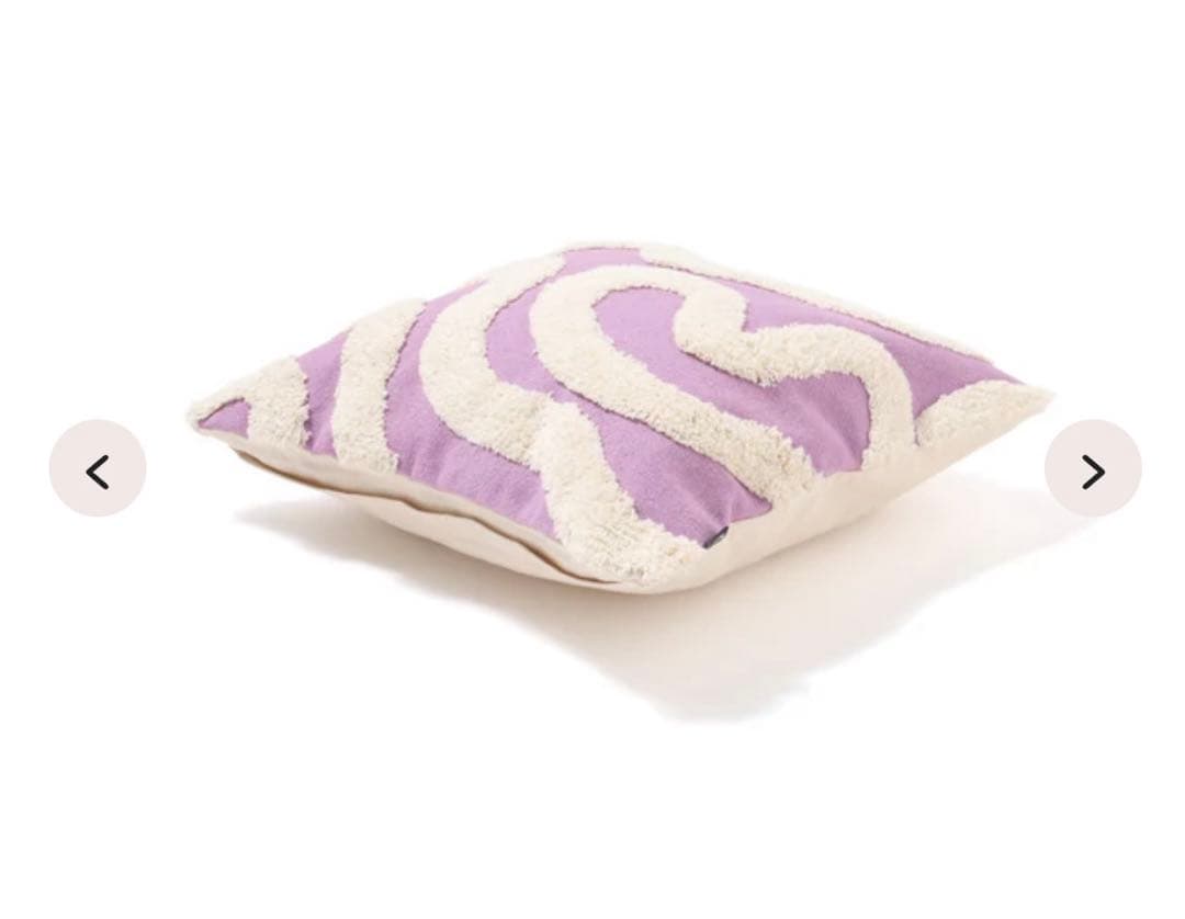 新品　Franc franc クッションカバー　2点セット