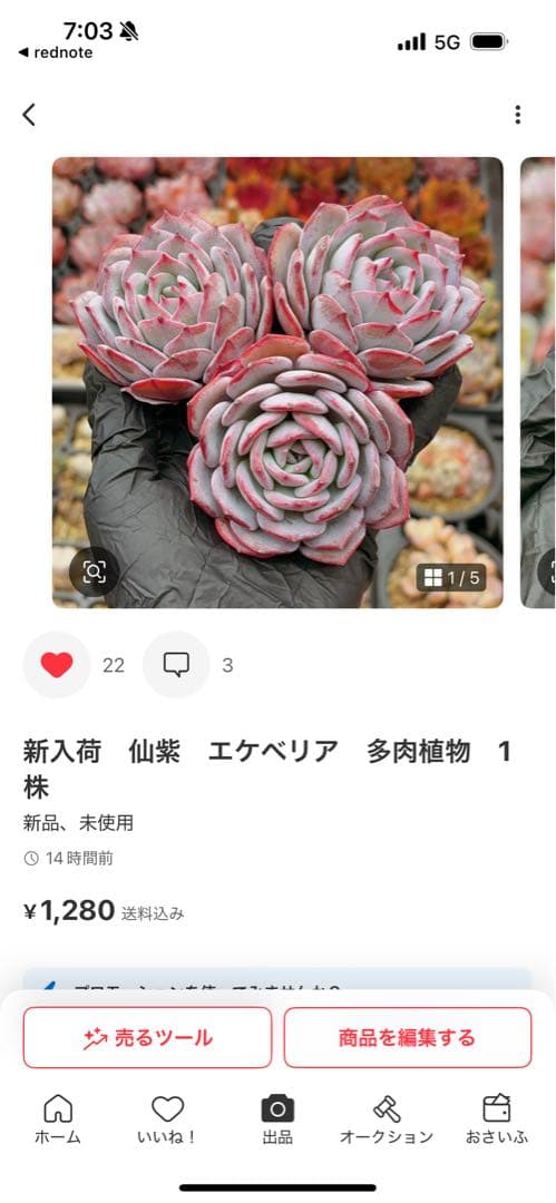 Ｔ.Dekaooo