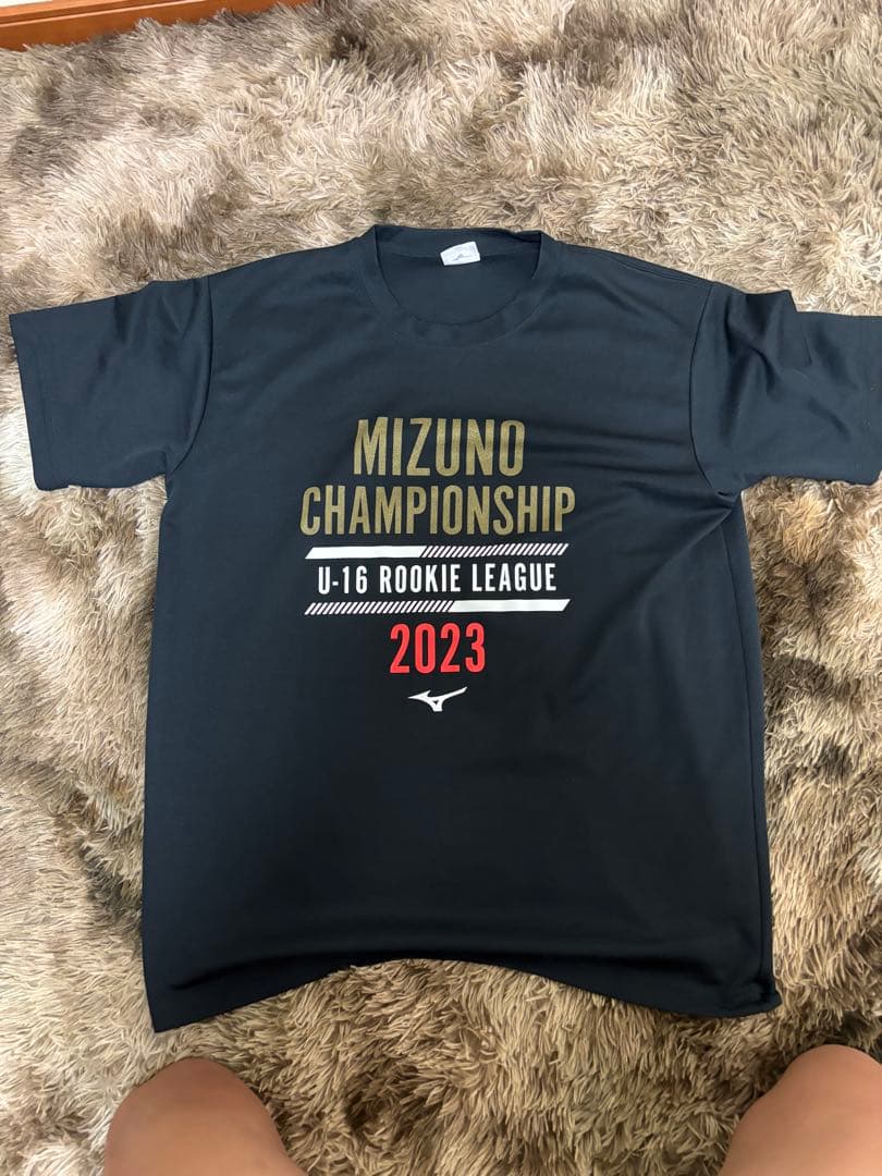 鹿島学園　Tシャツまとめ売り