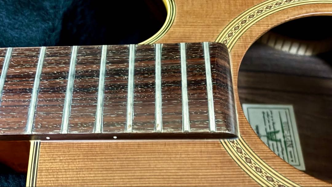 Takamine アコースティックギター NPT-010