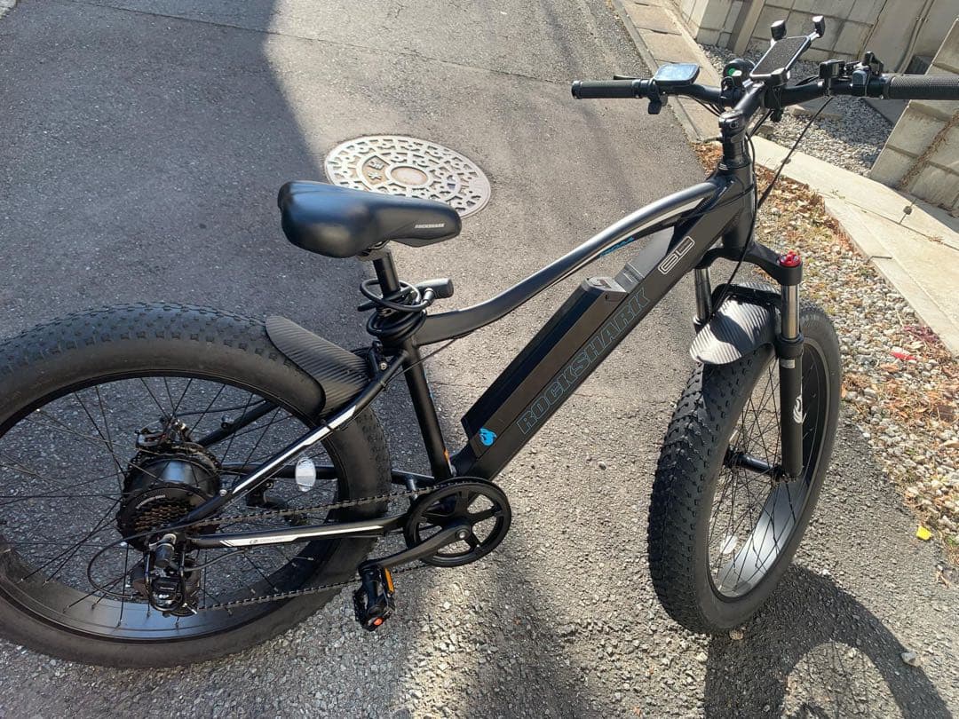 電動アシスト自転車 ファットタイヤ