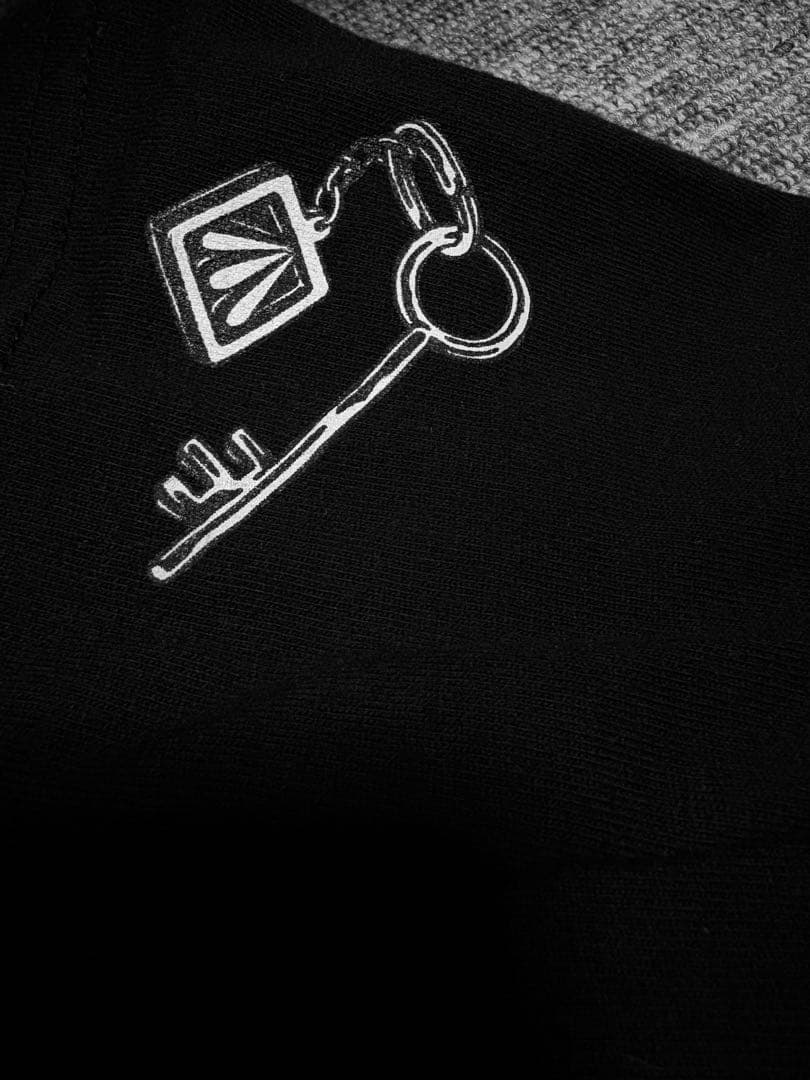ELLEGARDEN ライブTシャツ 宝箱　エルレガーデン