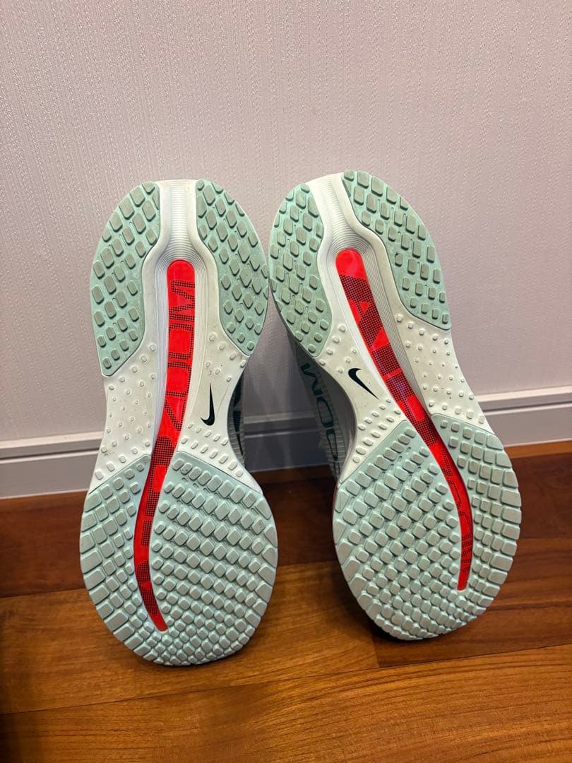 Nike ペガサスプレミアム28.0