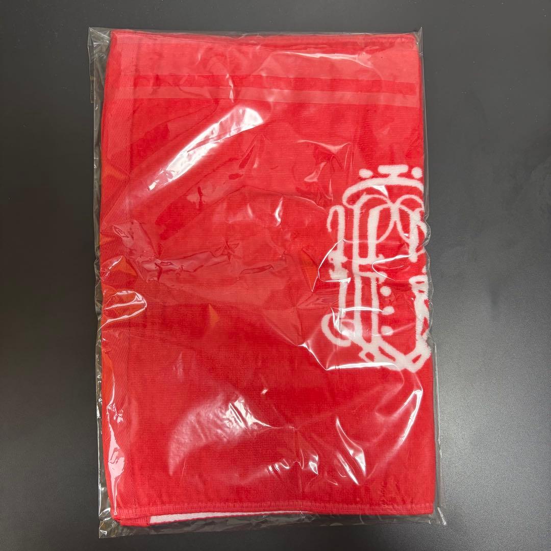 GEZAN 下山 ロゴタオル 新品未使用品 essu えすう デザイン 十三月