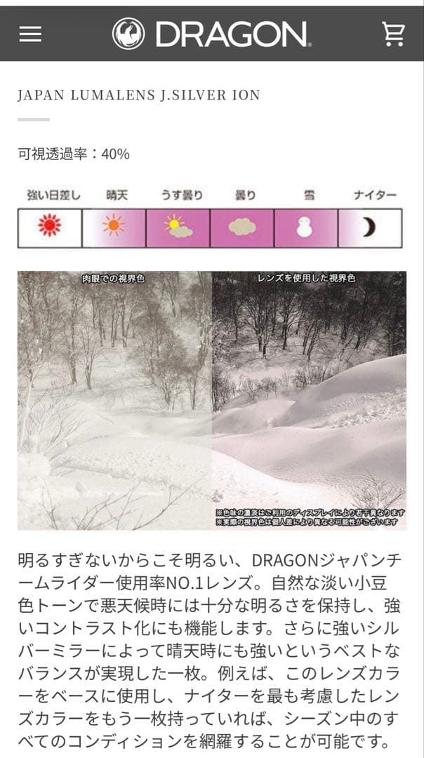 DRAGON PXV ゴーグル　SILVER ION