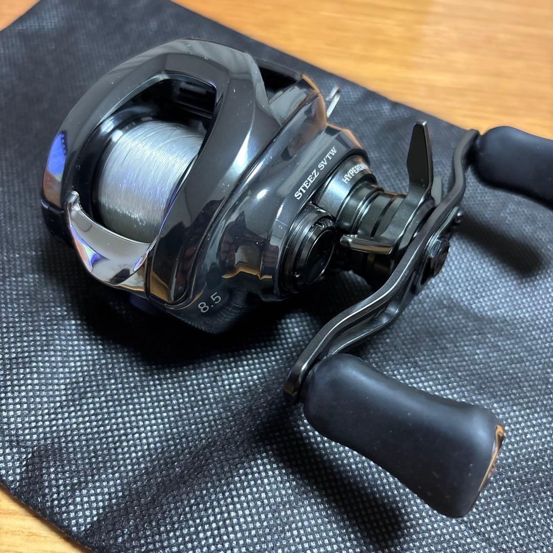 24 スティーズ SV TW 100XHR ベイトリール ダイワ