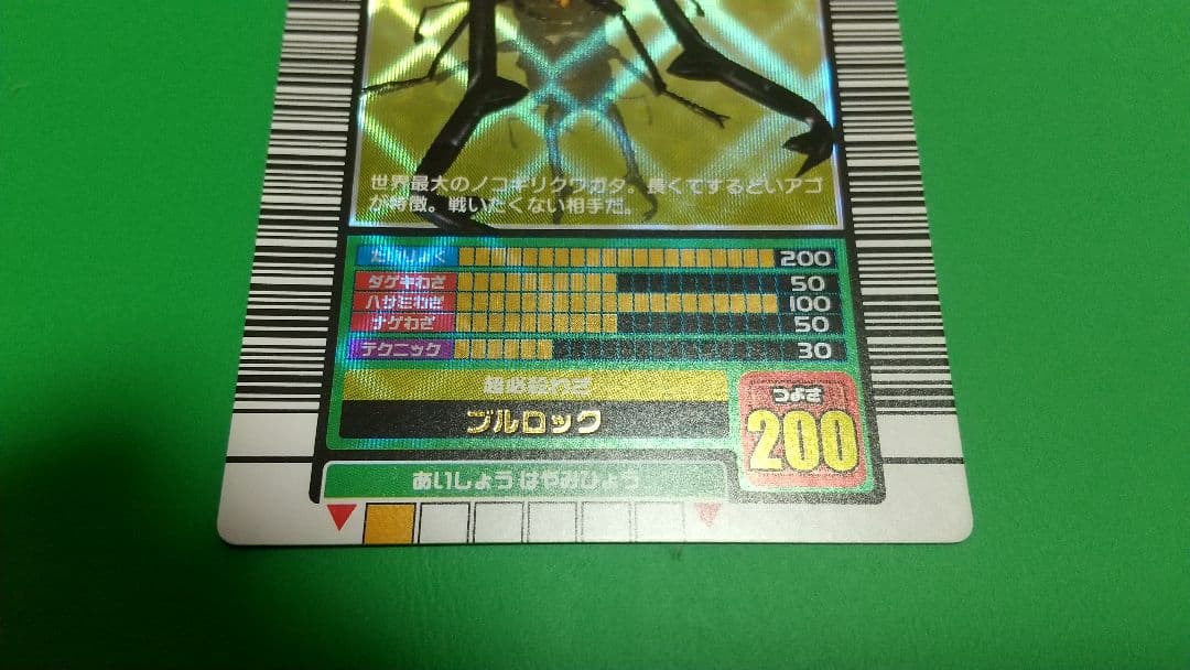 KKKKKKK様確認用