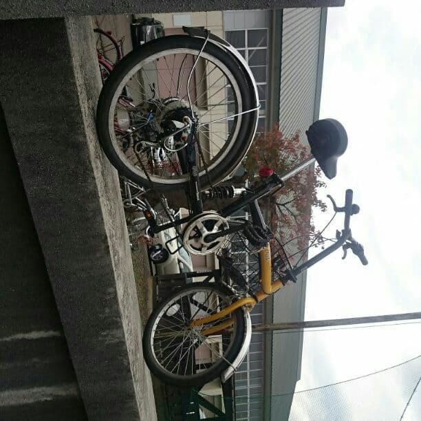 のざちゃり