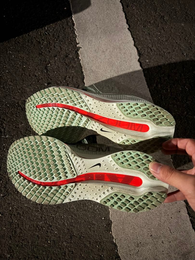 NIKE PEGASUS プレミアム 25cm