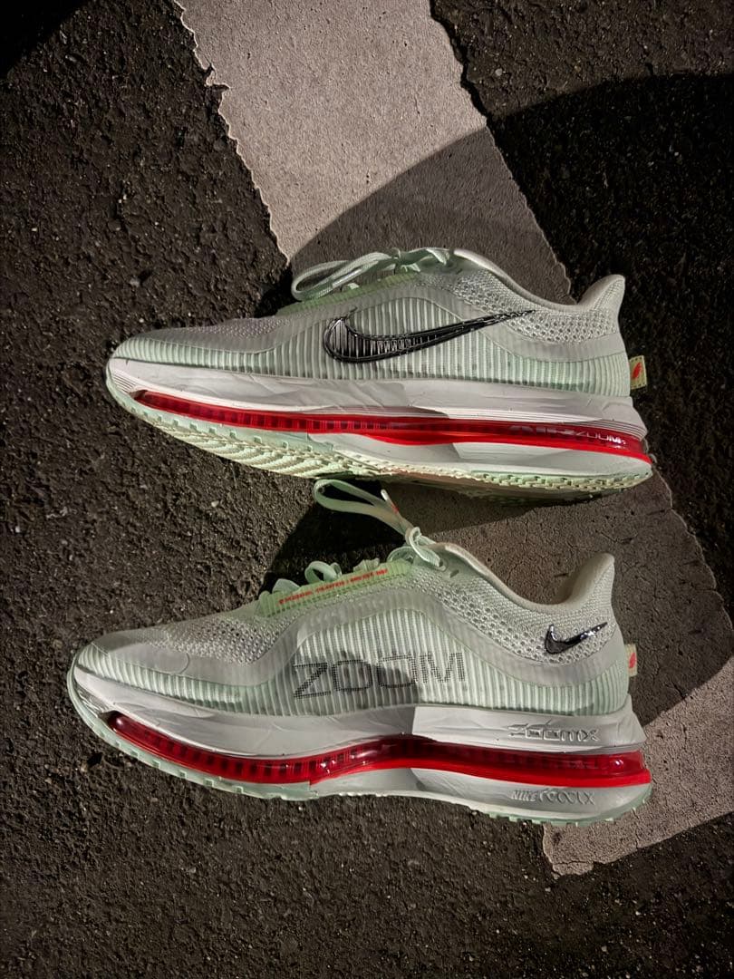 NIKE PEGASUS プレミアム 25cm