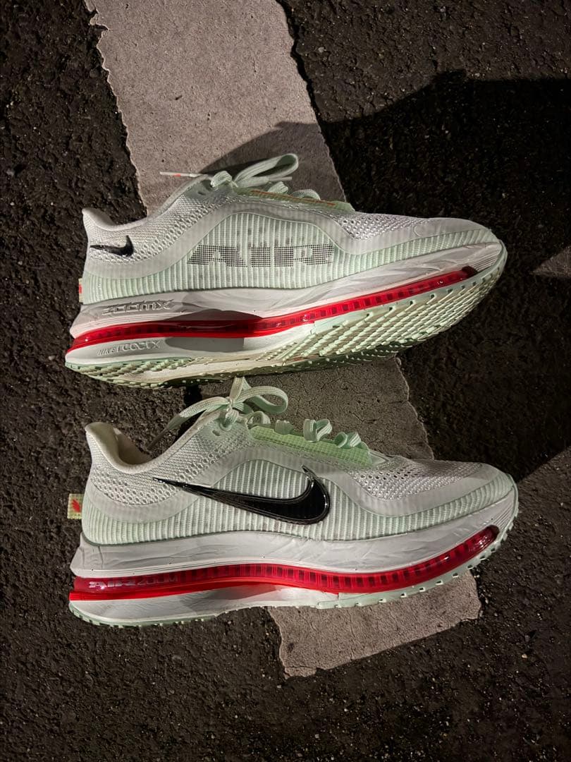 NIKE PEGASUS プレミアム 25cm