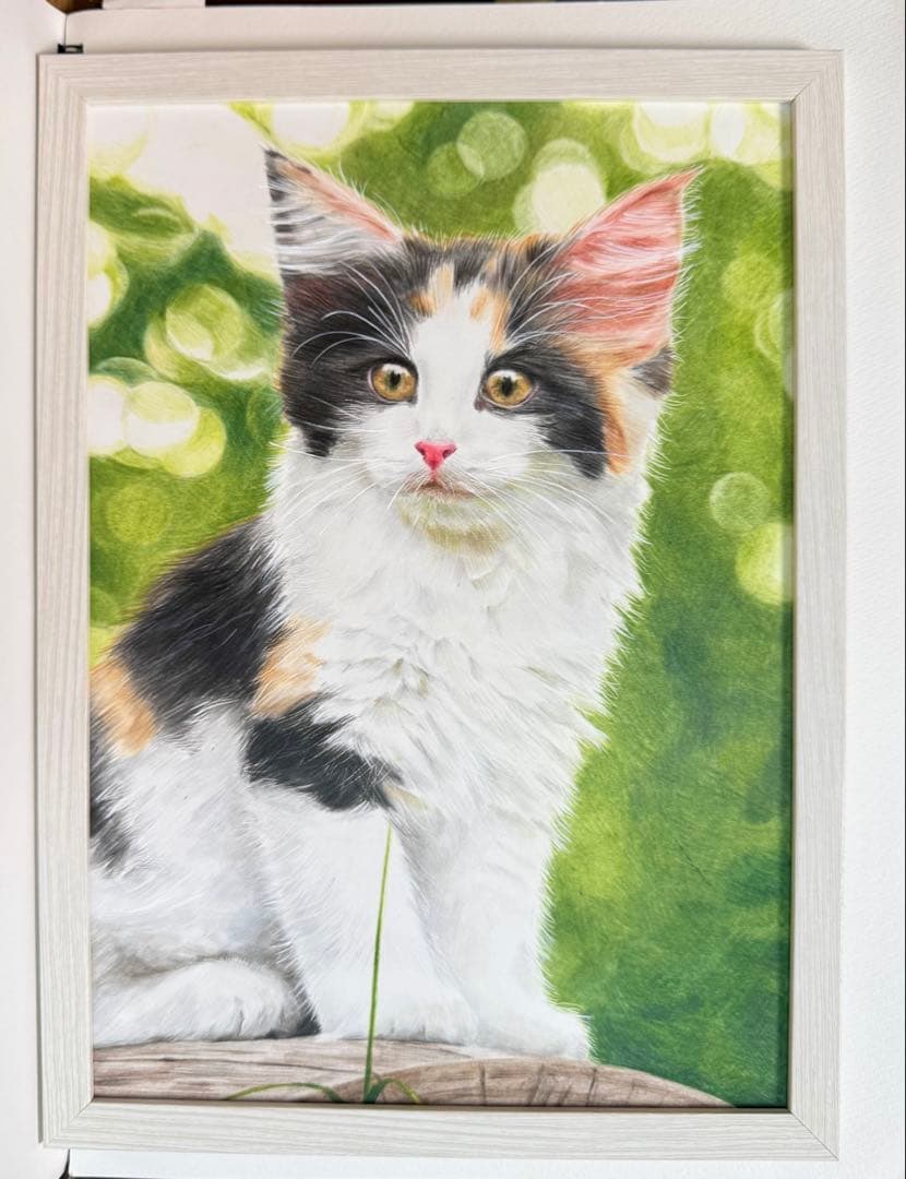 原画　色鉛筆画　A4サイズ　猫　額縁付き　手描き　イラスト