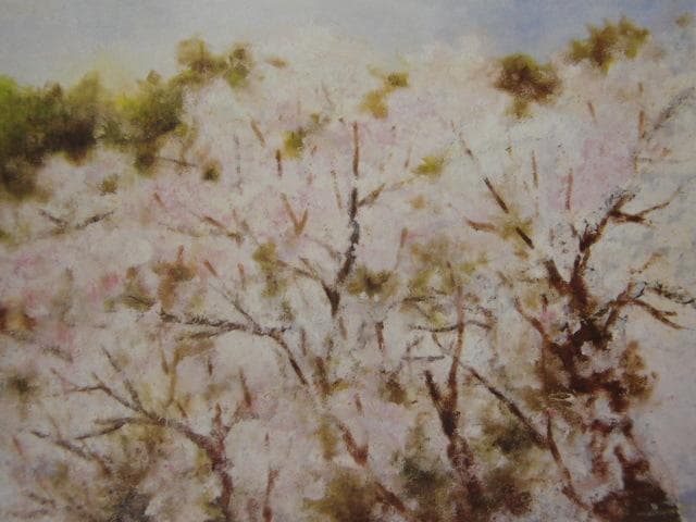 丸山しょうこ、【さくら】、希少な額装用画集より、美品、新品額装付