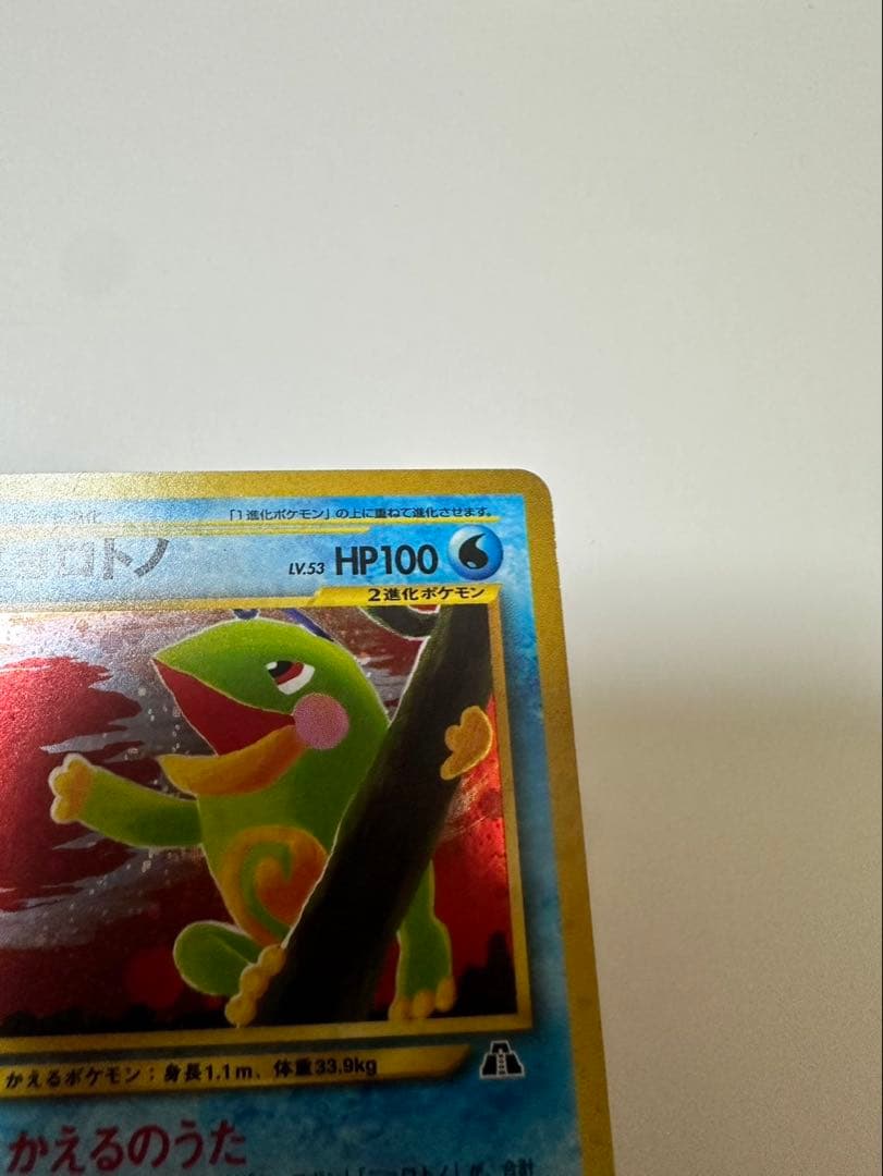 ポケモンカード ニョロトノ 旧裏 極美品