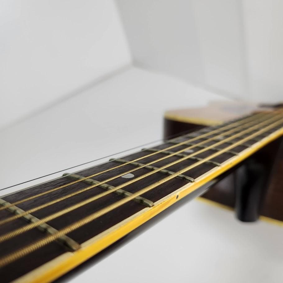 BLUEBELL W-300 アコースティックギター ブルーベル