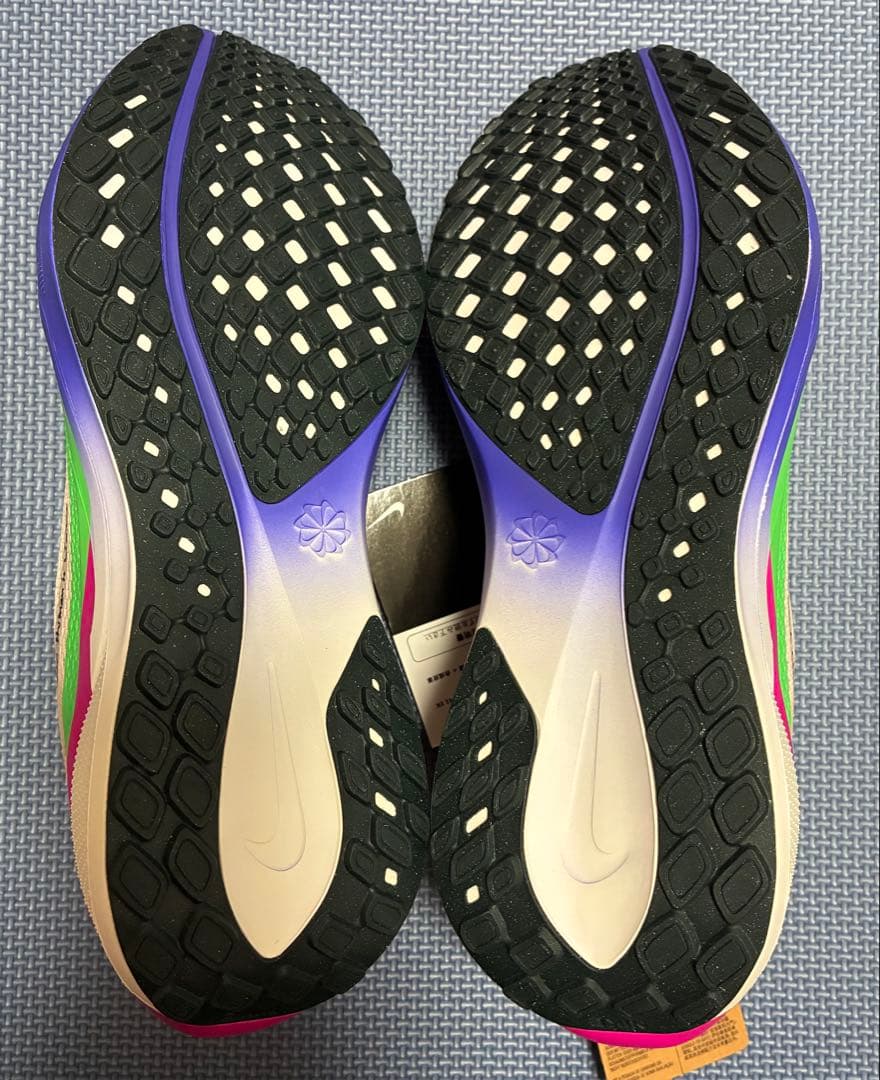 Nike AIR ZOOM Pegasus 41 【 27.0cm 】