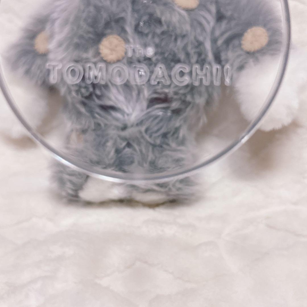 the tomodachi! ぬいぐるみ　ビスケットのトモダチ！