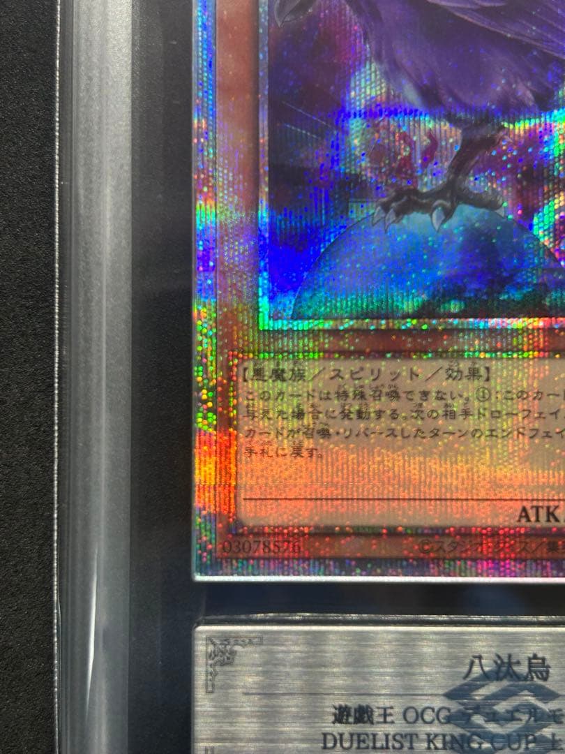 【ARS10】八汰烏『プリズマ』遊戯王 DUELISTKING 上位賞