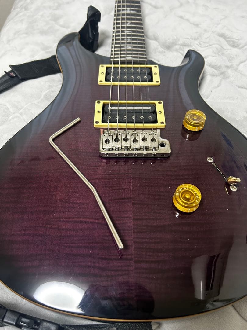 PRS SE Custom24 ダークパープル
