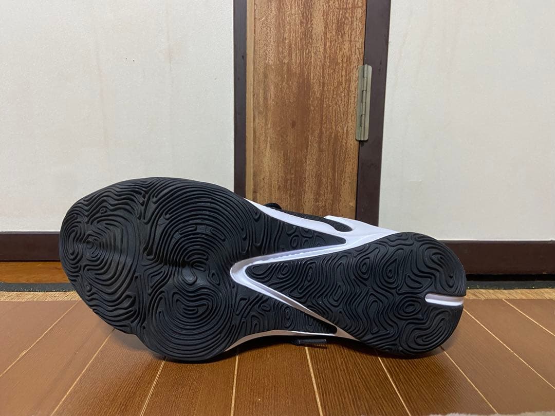 NIKE ズームフリーク3