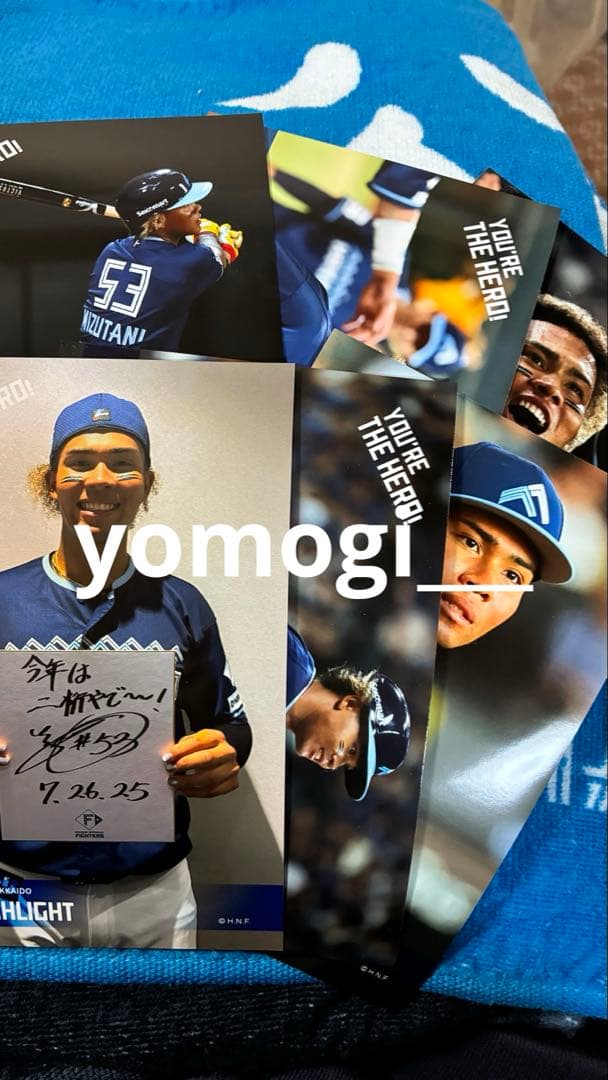 北海道日本ハムファイターズ　グッズセット