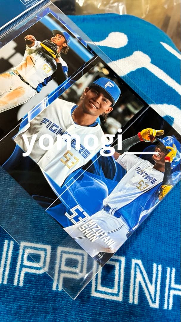 北海道日本ハムファイターズ　グッズセット