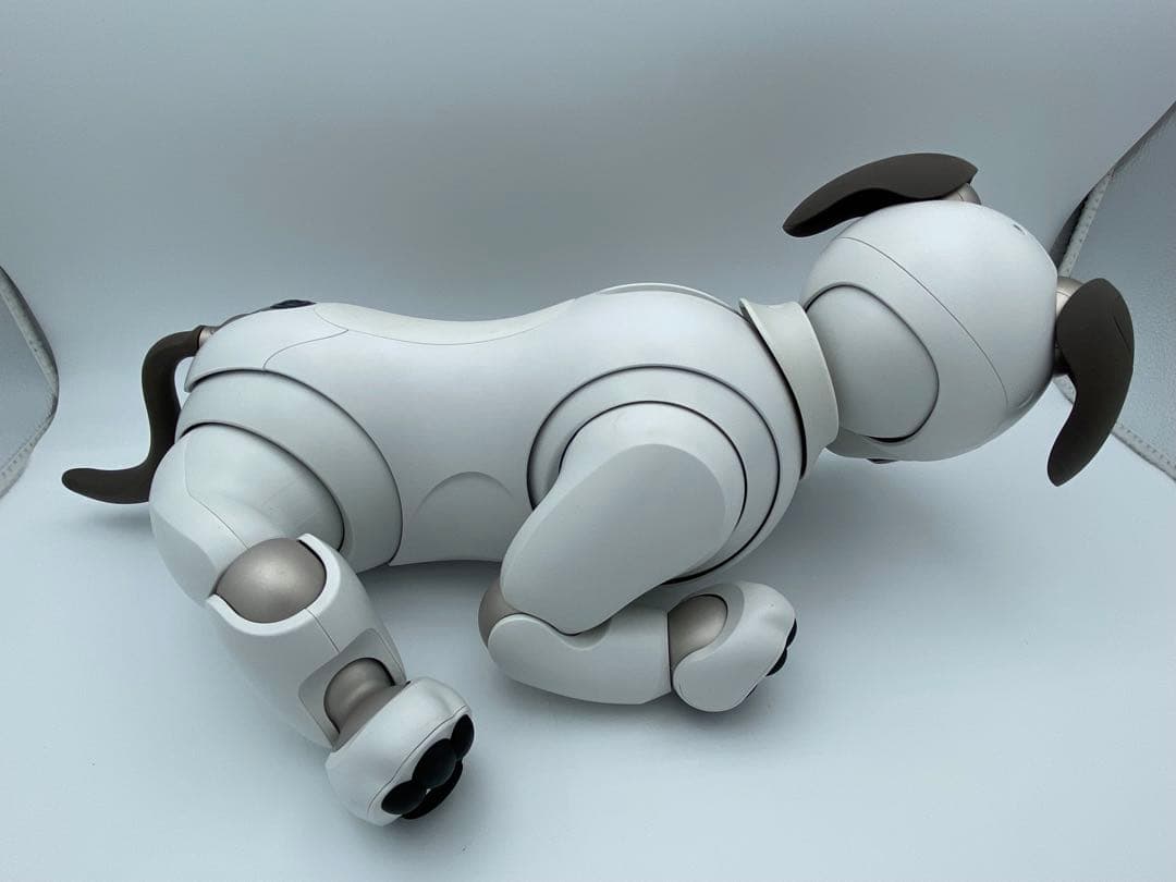 SONY aibo ERS-1000 アイボリー 付属品あり ロボット犬 ソニー