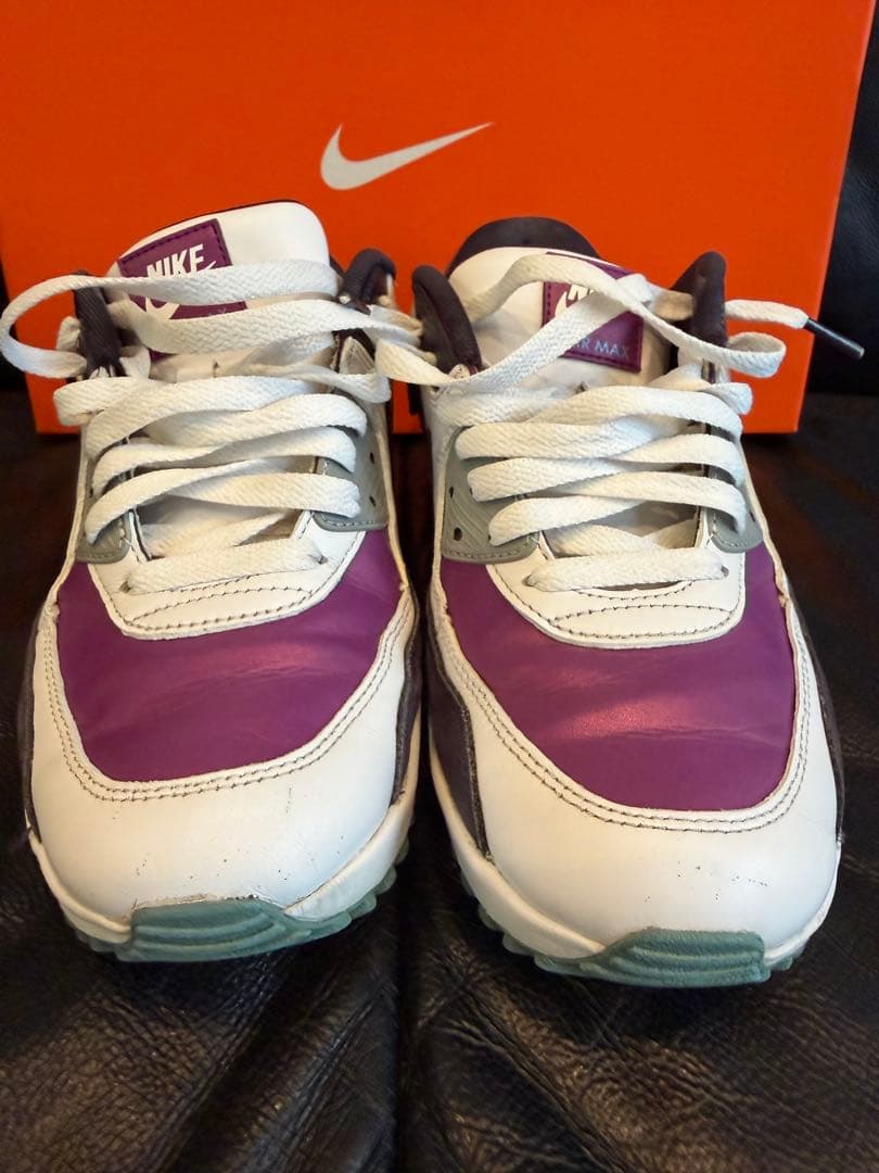Nike Air Max 90G 24センチ