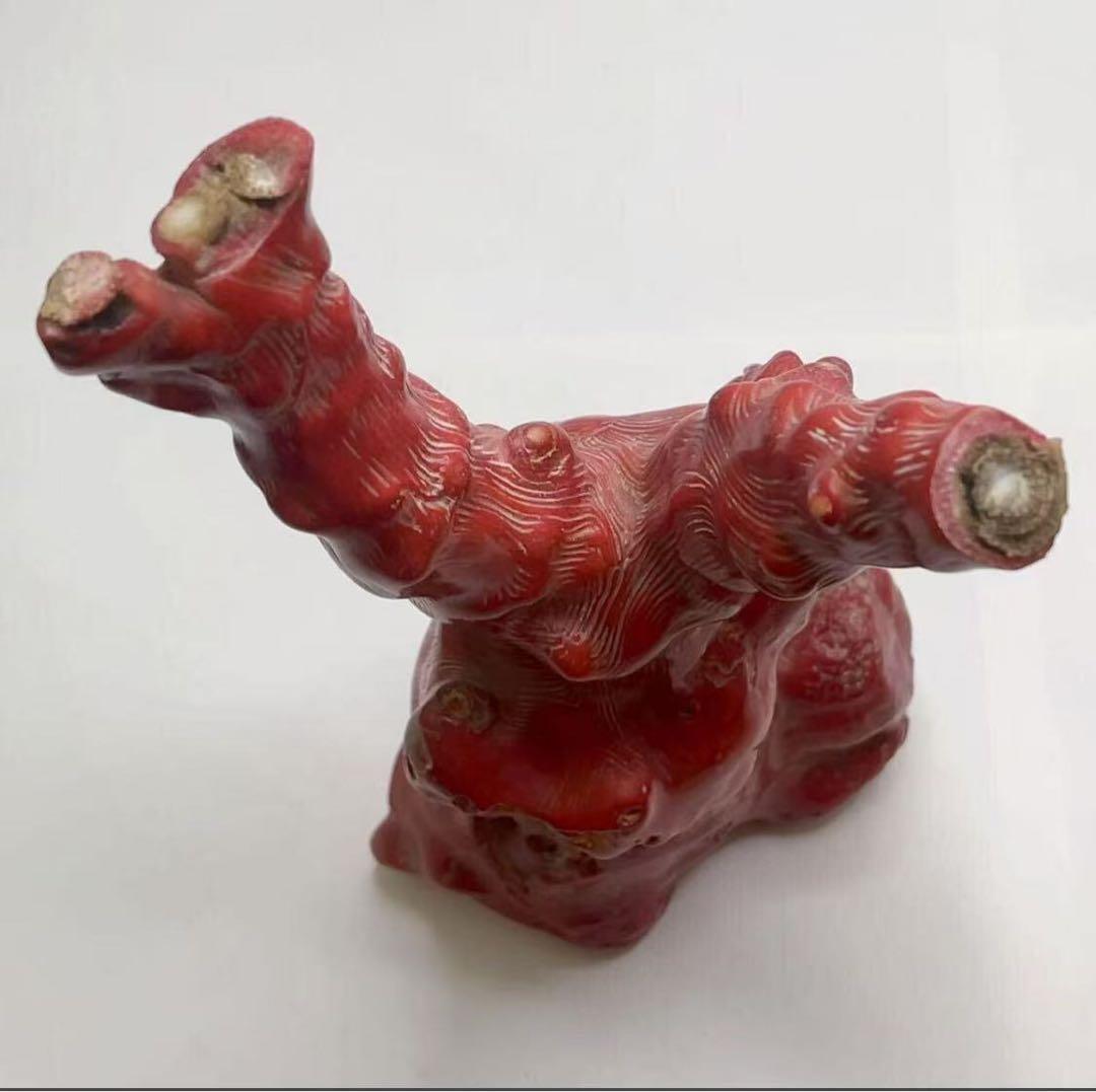 山珊瑚 サンゴ 枝 置物 オブジェ 総重量約1096g 高さ22cm