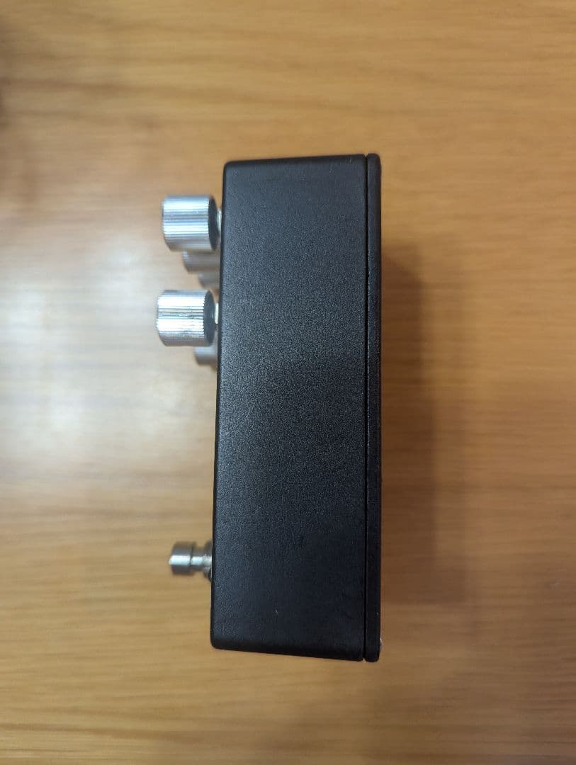 WALRUS AUDIO DEEPSIX 【限定デザイン】