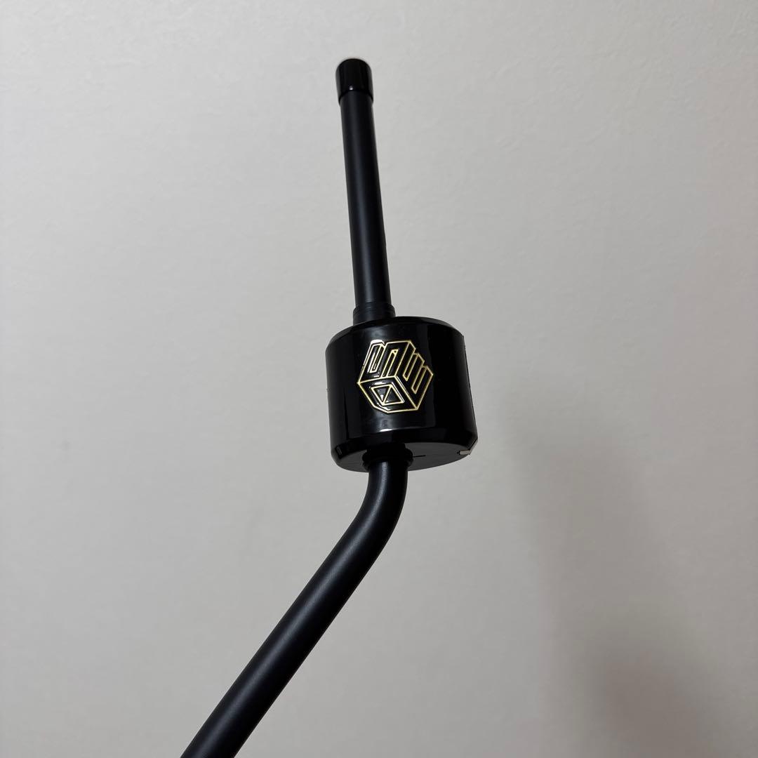 【美品】3D Swing Mentor 正規品