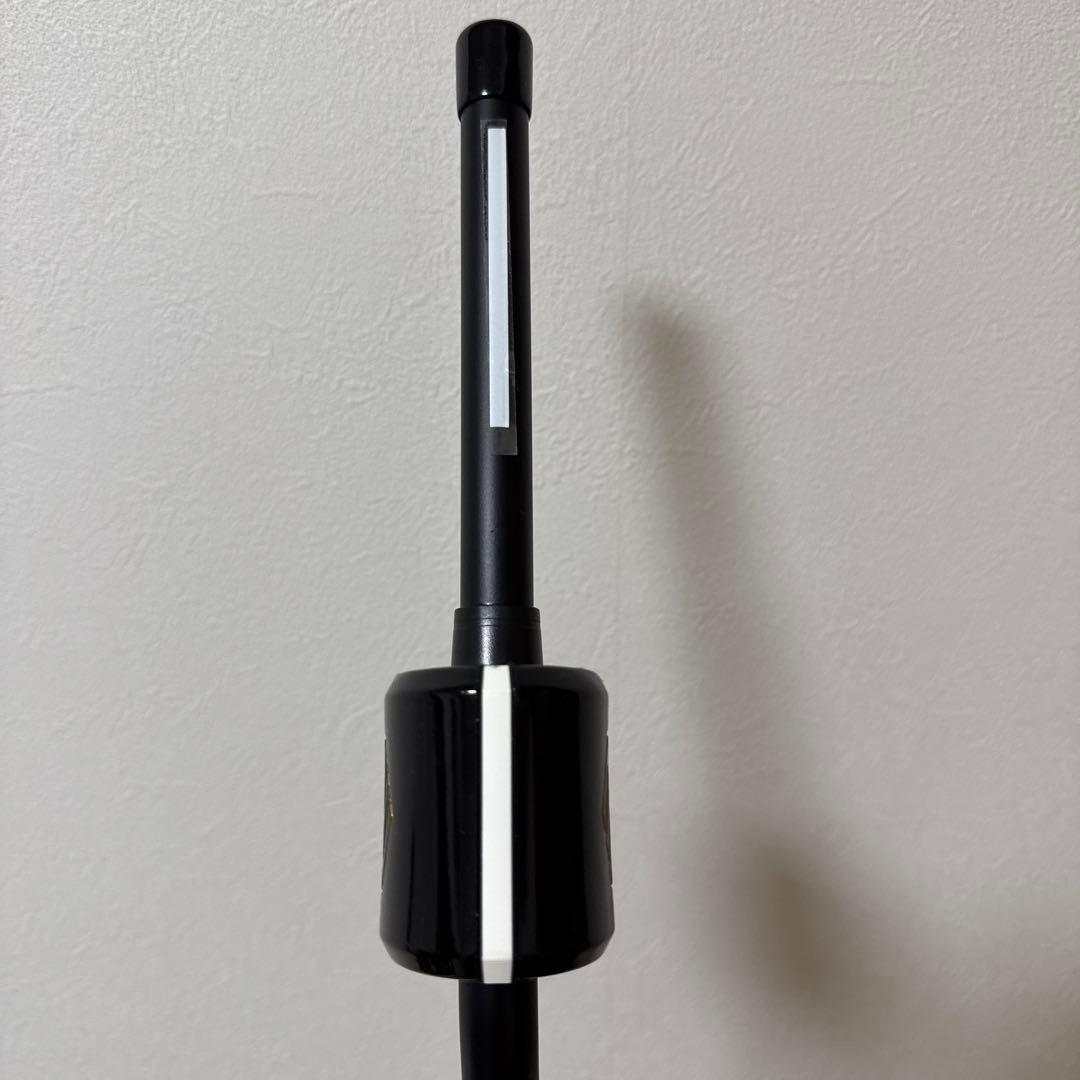 【美品】3D Swing Mentor 正規品
