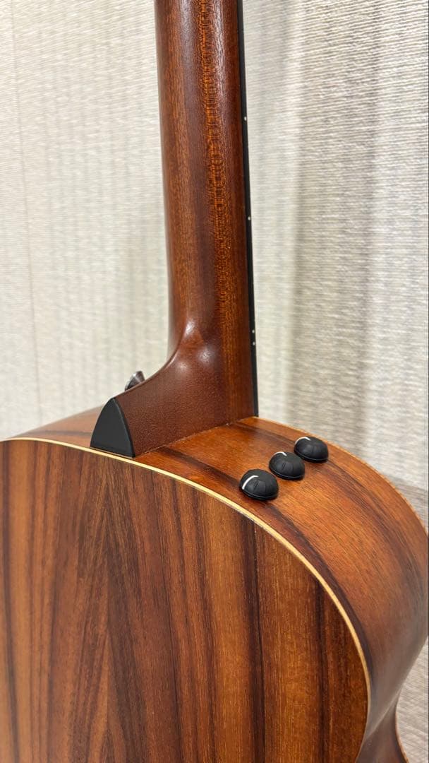 Taylor GS Mini -e ［エレアコ］