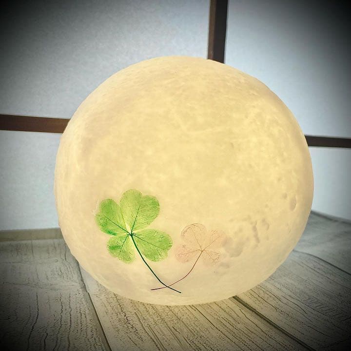 本物の四つ葉のクローバータッチライトஐ☘︎︎LEDライト2色タイプ✧̣̥̇ヒーリング効果♡