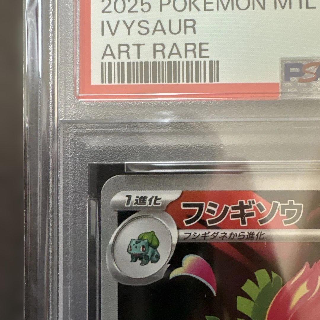 2025 ポケモンカード Ivysaur ART RARE