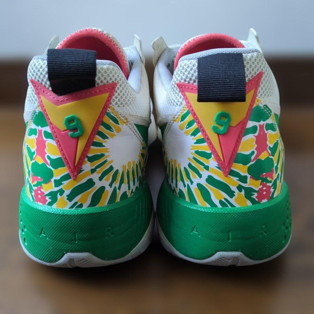 Nike Jordan バスケットボールシューズ