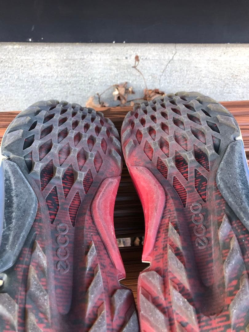 美品 ECCO BIOM H4 ゴルフシューズ 42 26.0cmスパイクレス