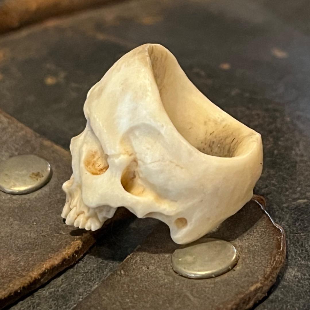 櫻井髑髏 野晒し スカルリング Skull ring バンダナ／スカーフリング