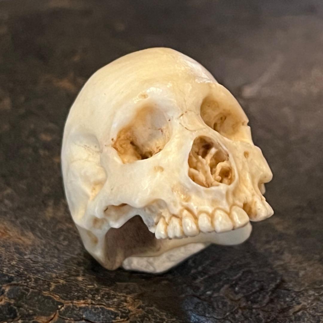 櫻井髑髏 野晒し スカルリング Skull ring バンダナ／スカーフリング