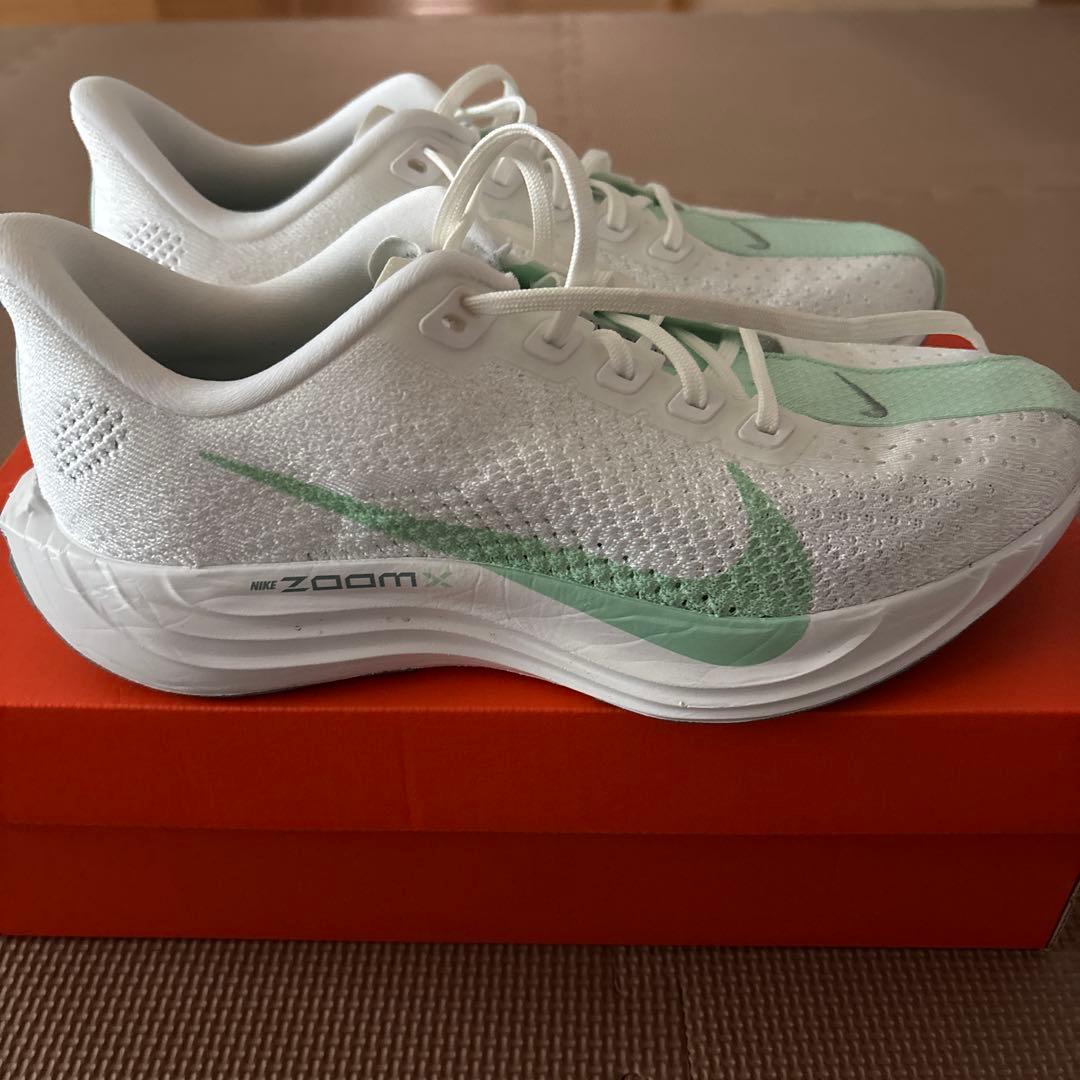 ペガサスプラス 25.0cm women 1.5km使用