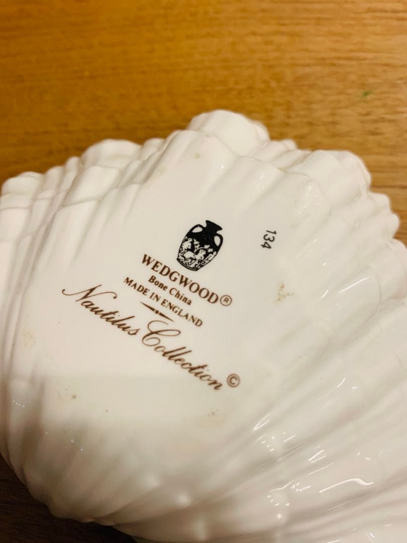  Nautilus collection 貝殻 小物入れ
