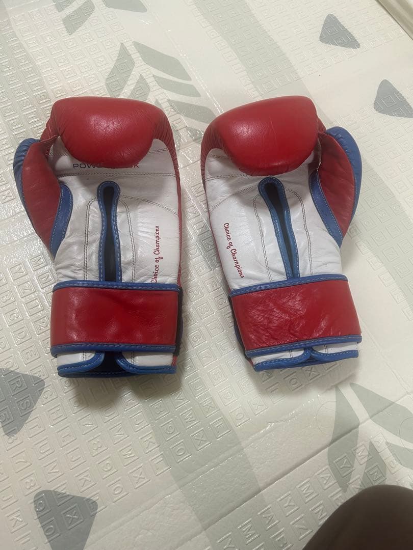 EVERLAST ボクシンググローブ 14オンス