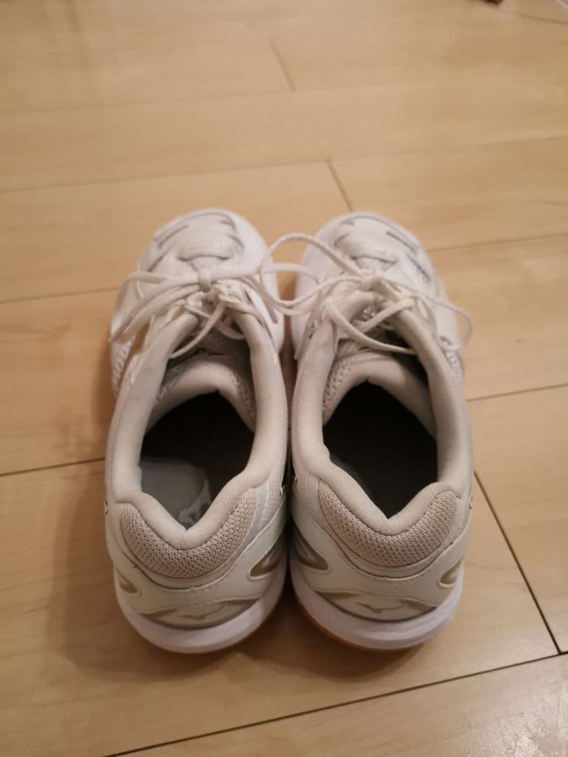 MIZUNO(ミズノ) バドミントンシューズ ウェーブファングPRO 27.5㎝